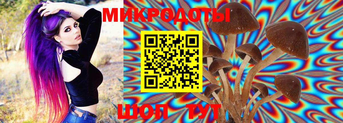 Галлюциногенные грибы мицелий  Вход с VPN  Алатырь 